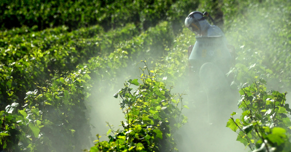 Redevances sur l'eau et les pesticides: les agriculteurs obtiennent l'abandon des hausses prvues en 2024