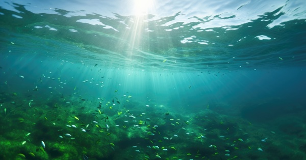 Une �tude r��value � la hausse la capacit� des oc�ans � stocker du carbone