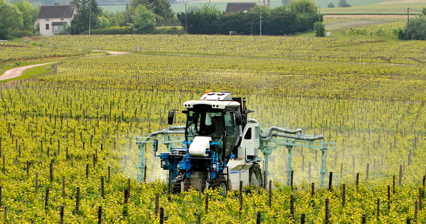 Pesticides: l'association Gnrations futures engage des procdures contre la Commission europenne
