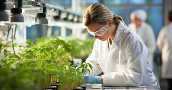 Nouveaux OGM: le Parlement europen saisit l'Efsa