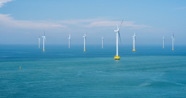 �olien en mer�: quatre organisations d�posent un recours contre l'�tat