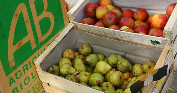 Agriculture bio�: inqui�tudes autour des ambitions et politiques de soutien