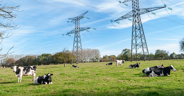 Champs �lectromagn�tiques et �levage�: une �tude �pid�miologique est pr�conis�e par l'Administration