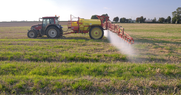 Glyphosate�: des ONG attaquent sa r�autorisation devant la Cour de justice de�l'UE