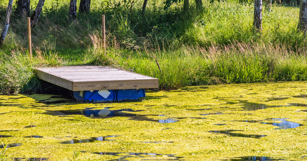 Le changement climatique et l'eutrophisation affaiblissent la biodiversit� des cours d'eau fran�ais