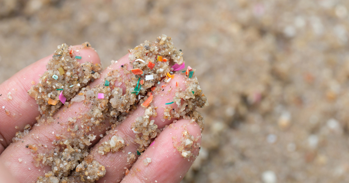 Microplastiques�: vingt ans de recherche pass�s au crible