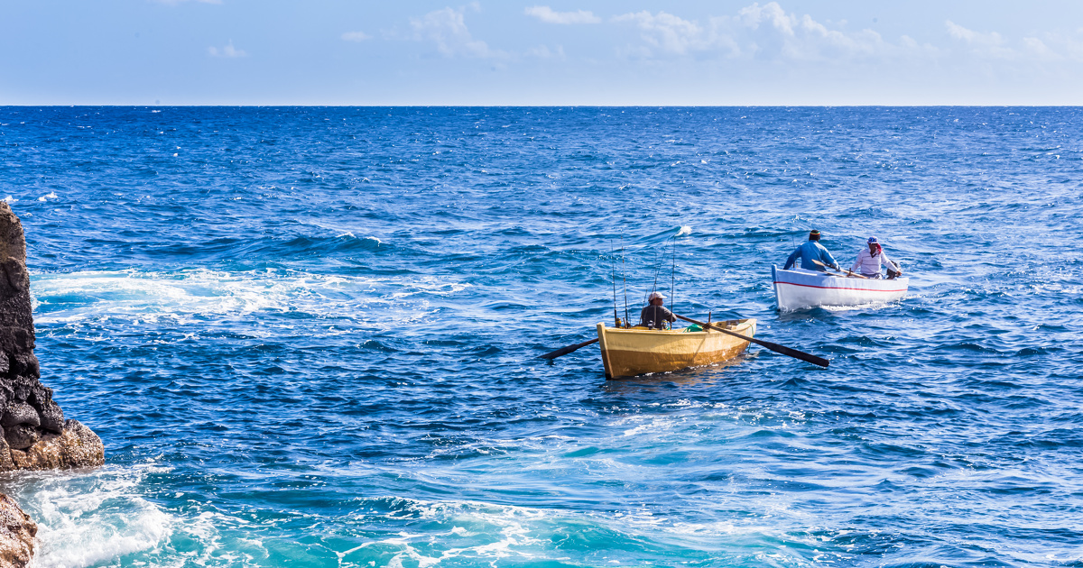 Biodiversit� et p�che dans l'oc�an Indien�: le CNRS, l'Ifremer et l'IRD lancent un programme de recherche 