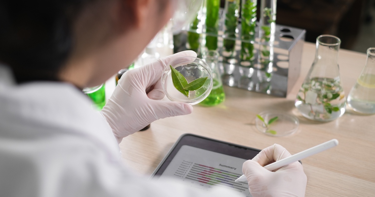 Tra�abilit� des OGM cach�s�: l'�tat condamn� � payer 50 000 euros d'astreinte