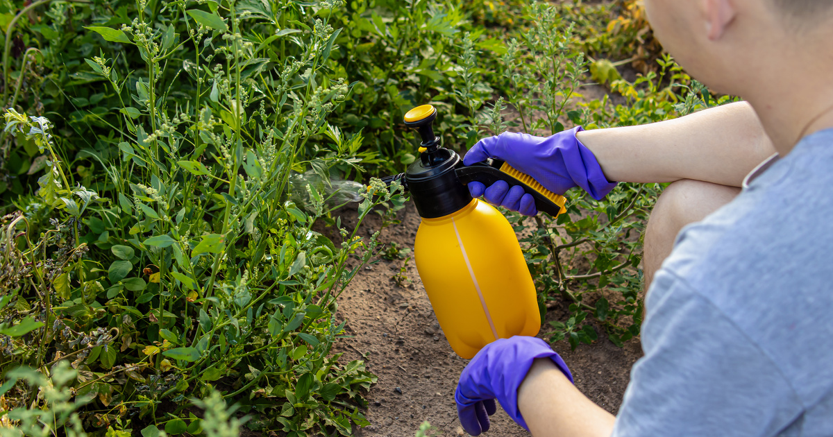 Vente de pesticides interdits sur internet�: prison avec sursis et 20 000 euros d'amende � Tours