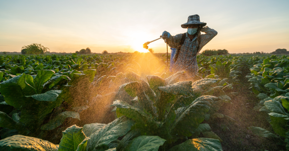 Pesticides interdits�: un recours devant le Conseil d'�tat entend faire arr�ter leur exportation