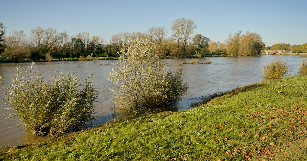 Octobre 2024 est le second mois le plus humide depuis trente ans