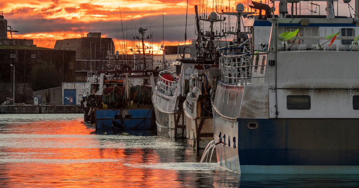 P�che�: la justice rejette le recours de l'association Bloom contre la feuille de route bretonne 