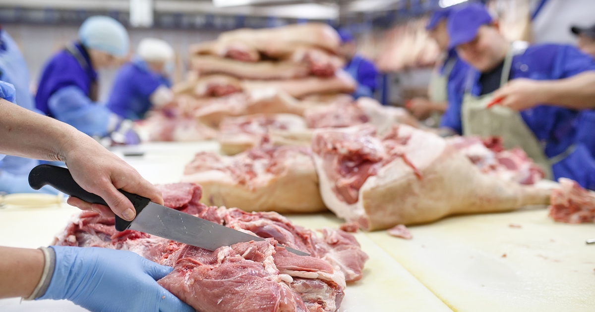 ICPE�: de nouvelles prescriptions en consultation pour les abattoirs