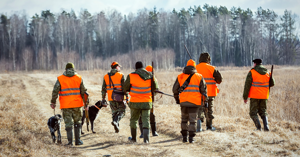 Chasse et droit � un recours effectif�: le Conseil d'�tat rejette la requ�te de One Voice