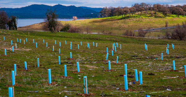 Sites � fort potentiel de gain �cologique�: l'OFB lance une application pour les inventorier