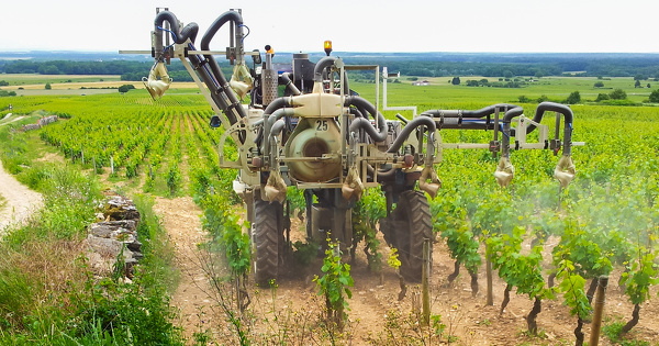 Pestiriv�: les r�sultats devraient �tre rendus publics d'ici � mi-septembre