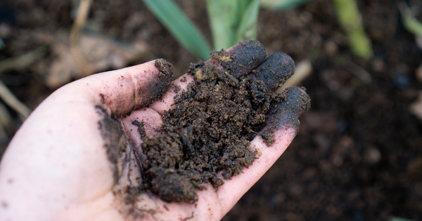 Suez et la start-up Seabex s'associent pour tester le biochar dans le Loiret