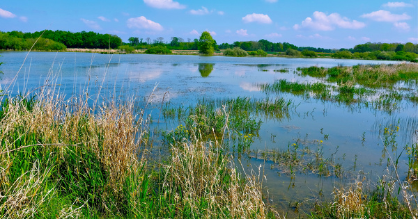 Effacement d'un �tang�: les travaux d'am�nagement auraient d� faire l'objet d'une autorisation