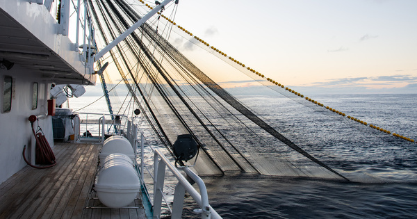 Diplomatie europ�enne&nbsp;: l'objection de la Commission sur une r�solution est contestable