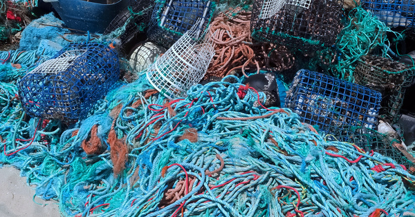 Plastiques�� usage unique�: la France se met en conformit� avec la directive europ�enne 