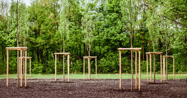 Am�nagements urbains arbor�s�: un outil pour ne pas se planter