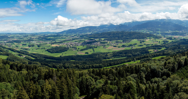 For�ts�: l'IGN publie un nouvel outil cartographique