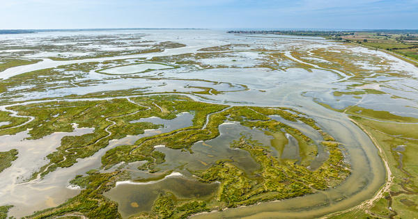 Cr�dits carbone bleu�: Surfrider publie un rapport critique