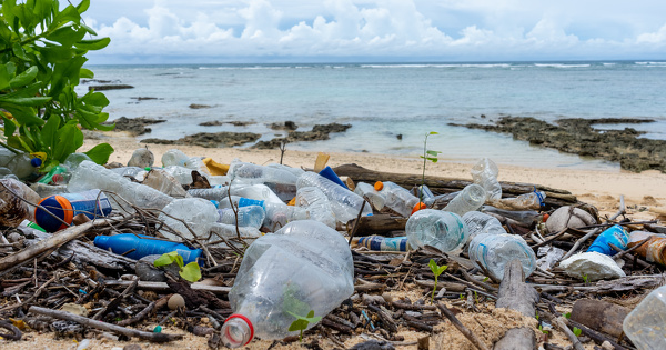 N�gociations plastique�: une (courte) session se tiendra � Gen�ve en f�vrier 2026