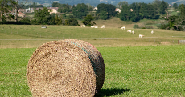 Simplification de la PAC�: accord politique entre le Parlement et le Conseil