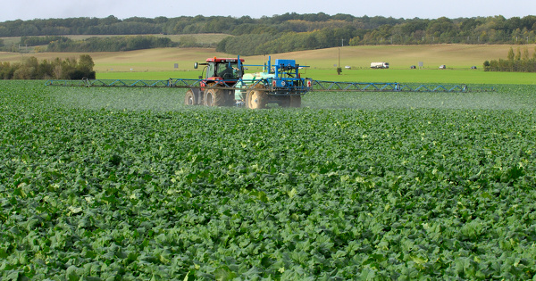 N�onicotino�des�: la justice valide l'action en r�paration du pr�judice �cologique caus� � la biodiversit�