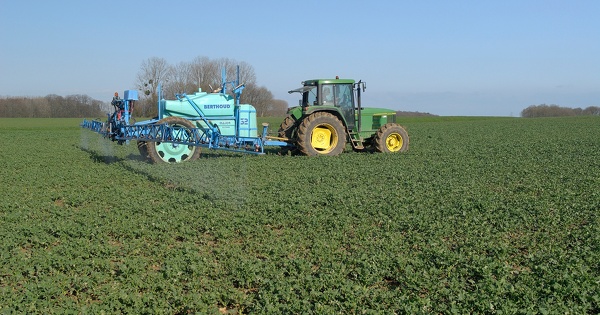 Produits phytopharmaceutiques�: la prolongation temporaire des substances actives n'est pas syst�matique 