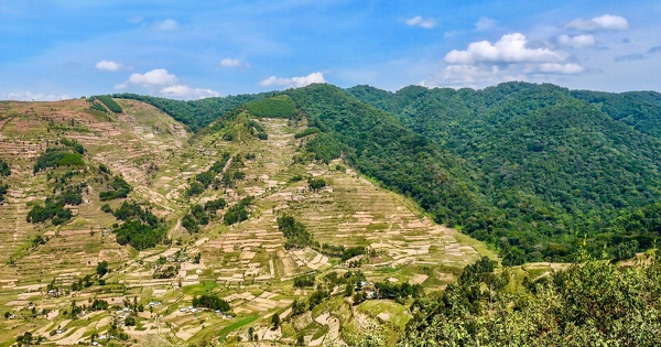 Report du r�glement D�forestation�: les �tats membres surench�rissent