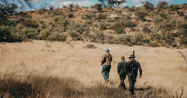 Biodiversit�: une taxe sur les s�jours de chasse touristique portant sur des esp�ces menac�es