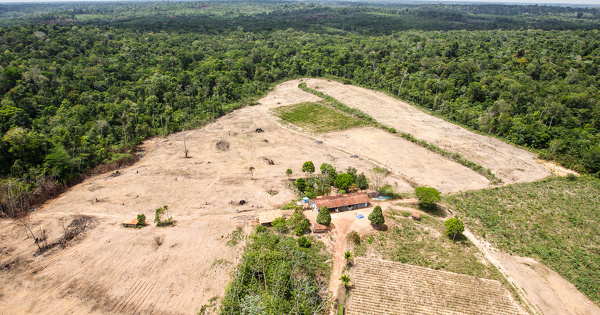 R�glement D�forestation�: le Parlement vote le report de son entr�e en vigueur