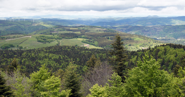 Esp�ces prot�g�es�: le d�faut de motivation d'une d�rogation impose une r�gularisation 