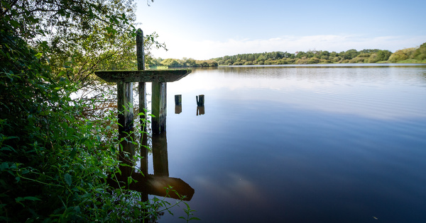 Quand le d�faut d'�valuation environnementale rend ill�gale la d�claration d'utilit� publique 