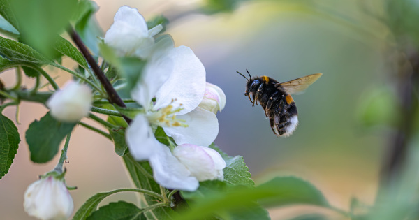 Le WWF propose un nouvel instrument de financement de la transition agro�cologique