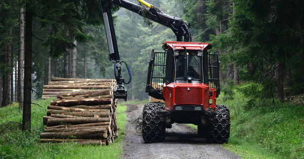 Exploitation, recyclage, �nergie�: des aides pour la fili�re for�t-bois