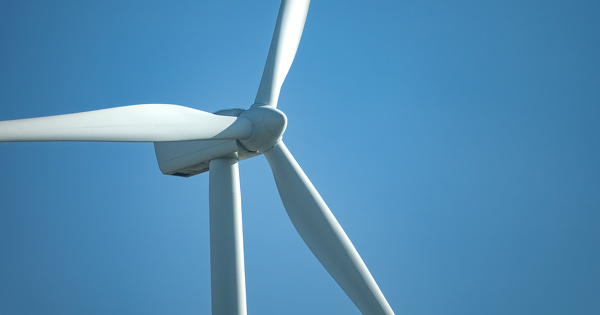 ICPE�: la r�gularisation d'une demande de d�rogation Esp�ces prot�g�es doit se faire � tout moment 