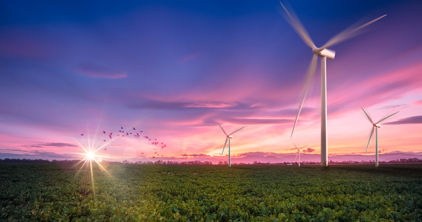 Inventaires faune-flore�: leur r�alisation il y a plus de dix ans ne t�moigne pas forc�ment d'une insuffisance