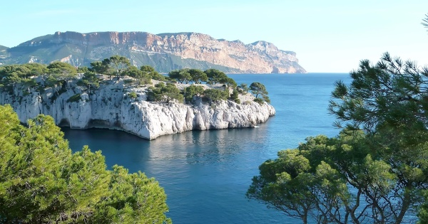 Zones de protection forte�: l'�tat labellise 63�espaces maritimes