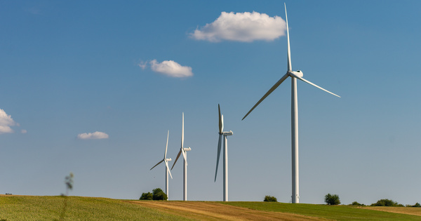 Projet de parc �olien�: deux des conditions de la d�rogation Esp�ces prot�g�es n'�taient pas remplies 