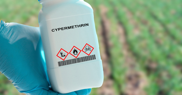 Pesticides&nbsp;: la Cour de justice europ�enne juge ill�gale la r�approbation de la cyperm�thrine 