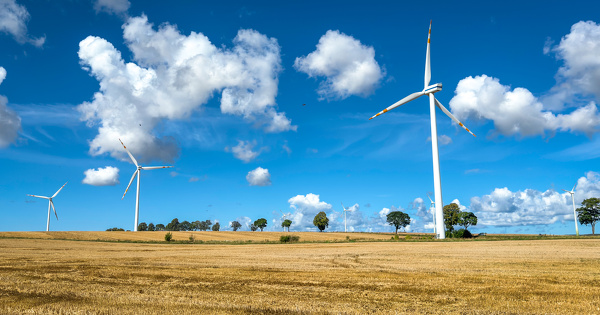 Le pr�fet peut refuser un projet sans consulter l'autorit� environnementale 