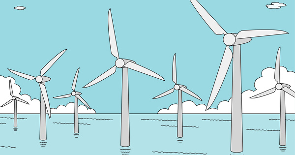 Huit premiers projets de recherche obtiennent le soutien du fonds biodiversit� dans la Manche