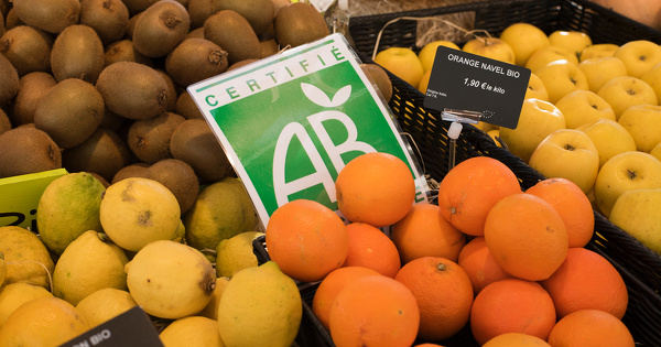 La Commission europ�enne s'engage � soutenir davantage l'agriculture biologique