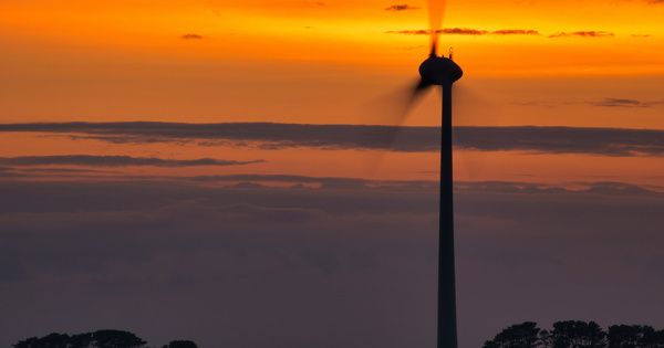 D�rogation Esp�ces prot�g�es�: l'arr�t� de r�gularisation a ses limites 