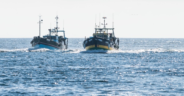 Chalutage p�lagique sur les c�tes bretonnes�: le juge des r�f�r�s suspend un arr�t� l'autorisant implicitement