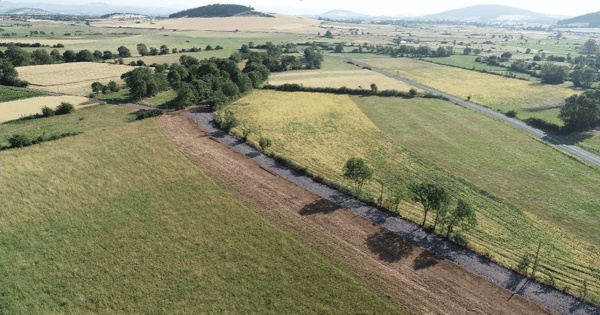 Destruction de haies�: quand une plainte conduit � la r�paration six ans apr�s