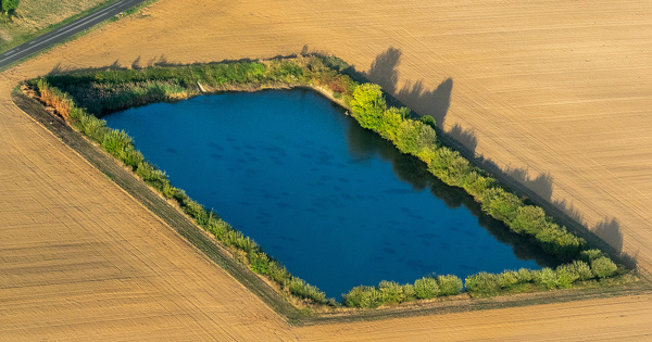 Crise agricole�: S�bastien Lecornu annonce une nouvelle loi d'urgence 